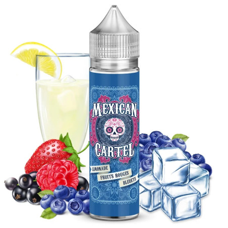 Limonade Fruits Rouges Bleuets 100 ml