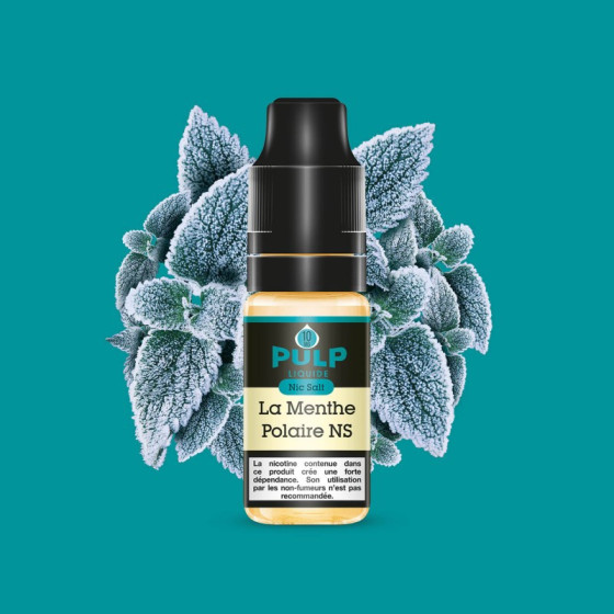 Menthe Polaire Sel de nicotine 10 ml