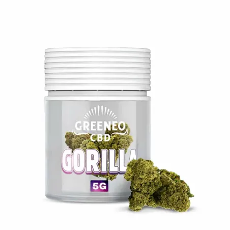 GREENEO GORILLA 5G