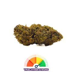 Amnesia Kush VMAC Hyper Strong