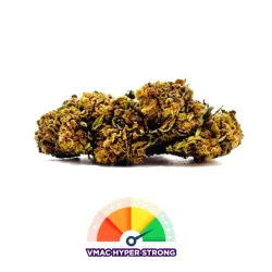 Fleur Forbidden VMAC Hyper Strong – 2g à 10g